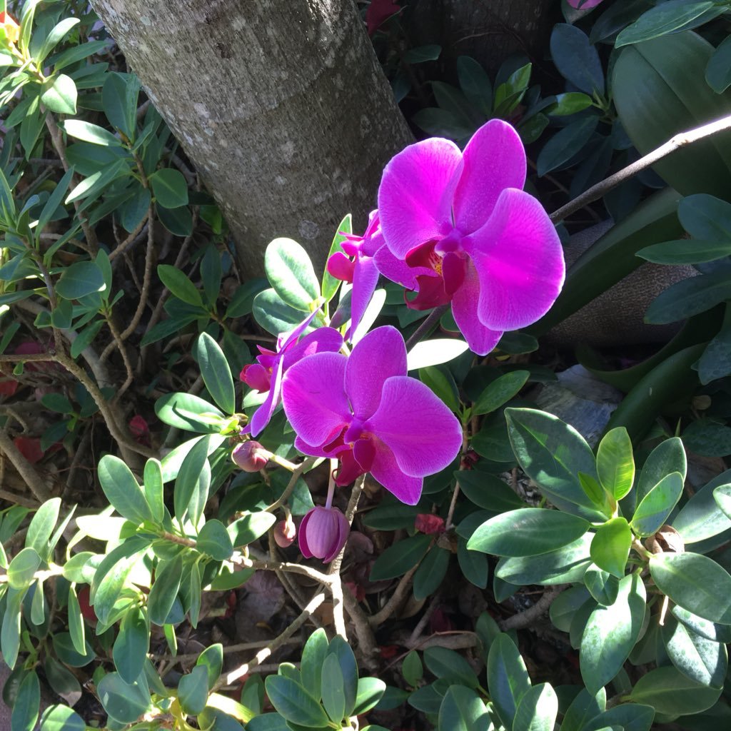 Heather Louisell Lukasik Profile