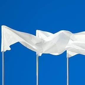 Movimiento ciudadano sin partido político,que busca la seguridad y la paz para los paraguayos a través de la unidad y participación pacífica de todo el pueblo.
