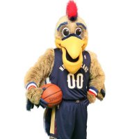 CONTRABET🏀 (@contrabet365) 's Twitter Profile