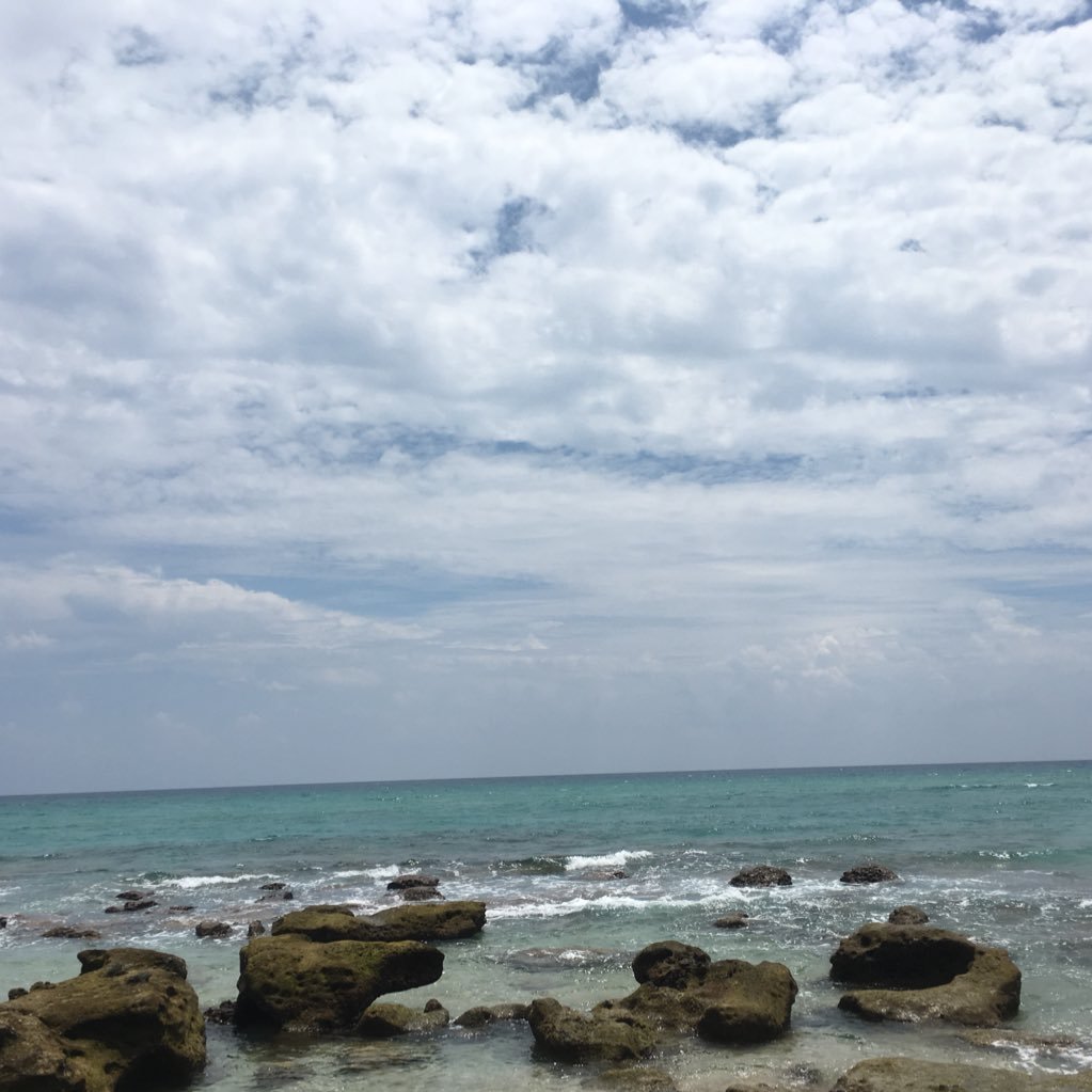 xxMuusic's profile picture. 