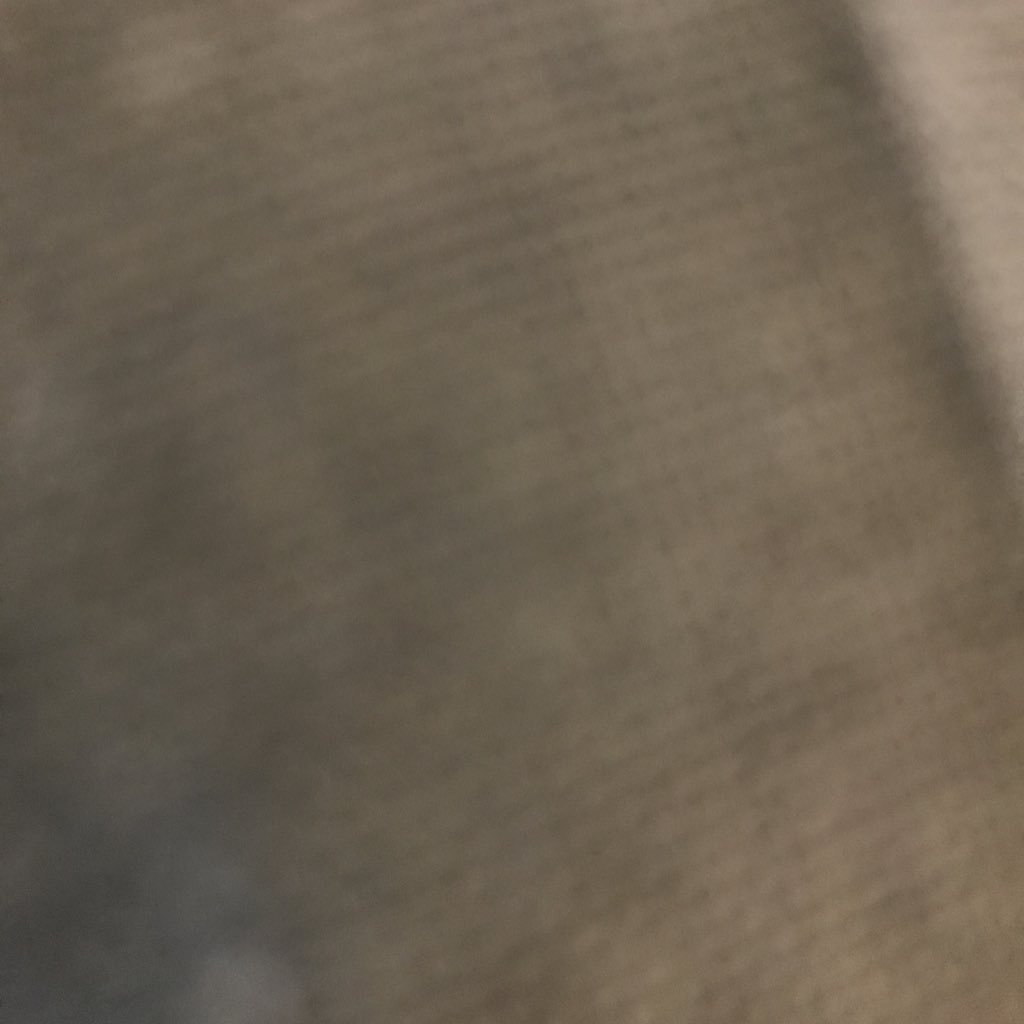 idk020202's profile picture. 