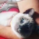 Kitty Paul - @KittyPa63664002 - Twitter