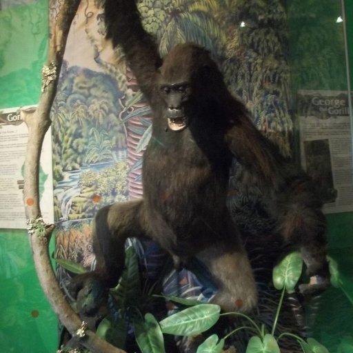 I have left Twitter and moved to Mastodon: https://t.co/daaNJmvZym
#MuseumMascot for the Nottingham Natural History Museum (#NOTNH #NottNatHist)