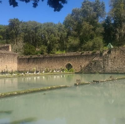 sistafit23's profile picture. 