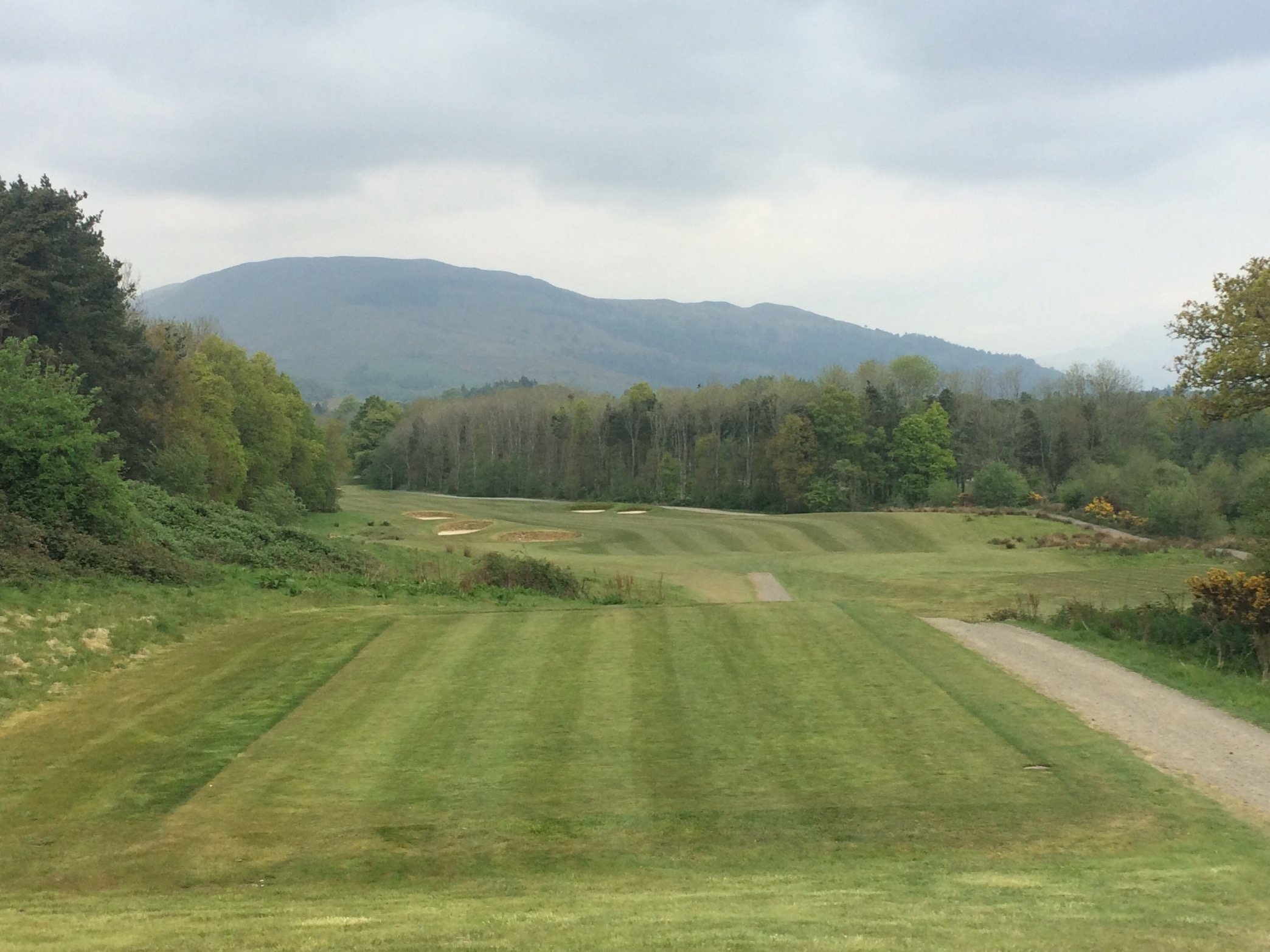 steves40frg's profile picture. 