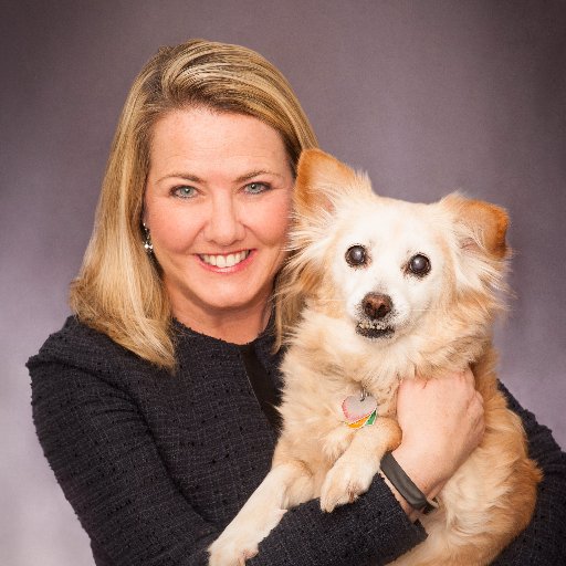 applevalleyins's profile picture. Apple Valley Insurance in Smithfield, RI. A Trusted Choice agency that specializes in personal insurance packages and small business insurance.