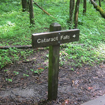 Take Fighting Creek Trail at Sugarlands Visitor Center to reach Cataract Falls.