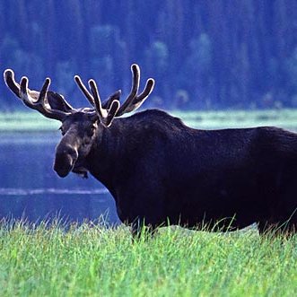 LBPrague75's profile picture. 