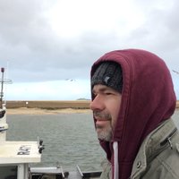 Steve Prior #FBTP (@magnetenvy) 's Twitter Profile