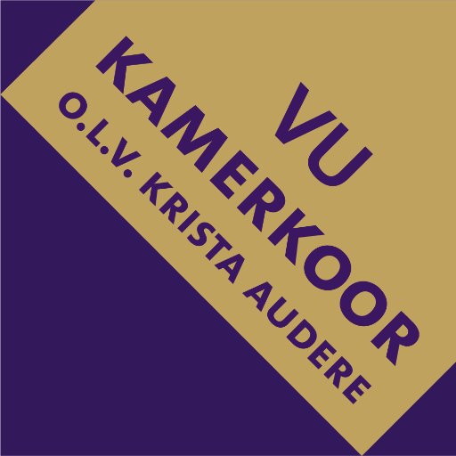 Het VU-Kamerkoor is een ambitieus en gezellig koor uit Amsterdam. Het koor bestaat uit 30 jonge ervaren koorzangers.