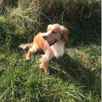 Rach (@rach_the_pach) 's Twitter Profile Photo Rach (@rach_the_pach) 's Twitter Profile Photo