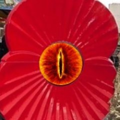 Watching Poppies®. Rating Poppies®. Guardian of Remembrance.  