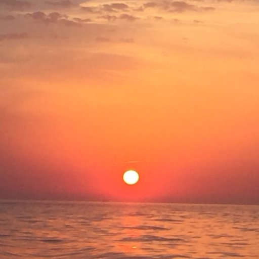 richg12345's profile picture. 