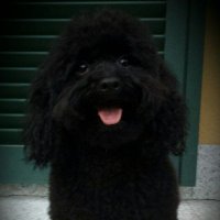 Checco(@checcopera) 's Twitter Profile Photo