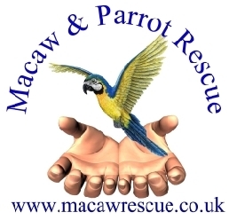 We are one of the leading parrot & macaw rescue services in England & Wales