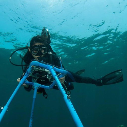 Para sa dagat 〰️ For the ocean 🌊🌊🌊🌊🌊🌊.      
Marine biologist | 
PhD student - Universität Rostock