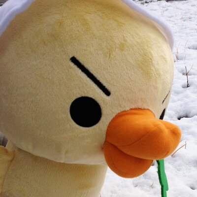 ペロリネ | 4コマ漫画はじまりましたさんのプロフィール画像