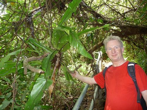 yrrah1957's profile picture. (pop)muziek, sport, Ajax, natuur, kunst, nieuws, vrienden, eten, wijn, Griekenland en Azië