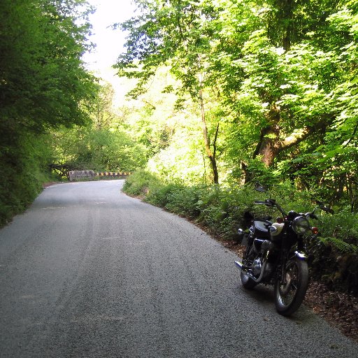 RussTNuttz's profile picture. Expert in free style vacuuming and cross country ironing. Followed by the neighbour's dog