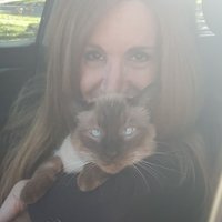 Susan Chiboroski (@susanchiboroski) 's Twitter Profile