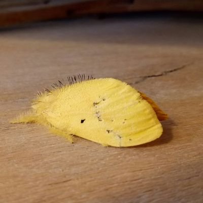 coffeeonly27's profile picture. อยากรู้ในสิ่งที่สนใจ​ ทำในสิ่งที่อยากทำ