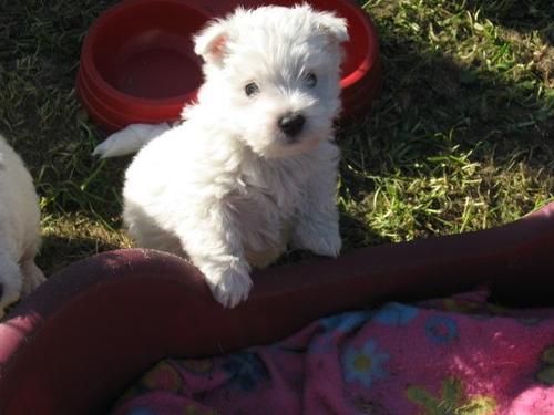 J__J's profile picture. 