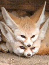 poncita's profile picture. Not your run-of-the-mill mathematician