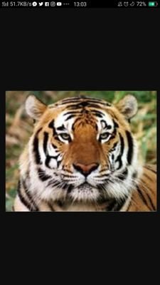 Phraklru's profile picture. วันนี้ห้ามประมาทกับชีวิตที่มีอยู่น้อยนิดนะ