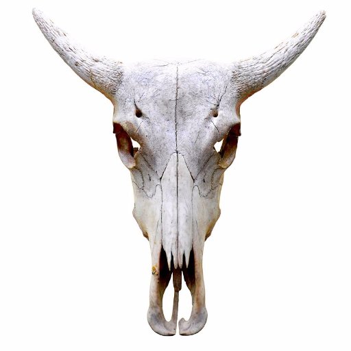 Fin_Fighter22's profile picture. 