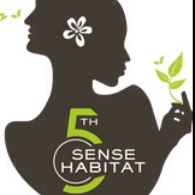 5th Sense Habitat On Twitter Natural Hair Style Crushing On A