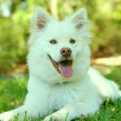 0Samantha_Smith's profile picture. 