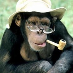 Johan52887127's profile picture. En bra kille som jag själv