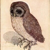 Old Ceremony (@oldceremony) 's Twitter Profile