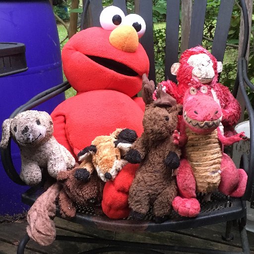 realtomquite's profile picture. 🇺🇸There are known knowns.  There are known unknowns.  But there are also unknown unknowns. There are things we don't know we don't know.