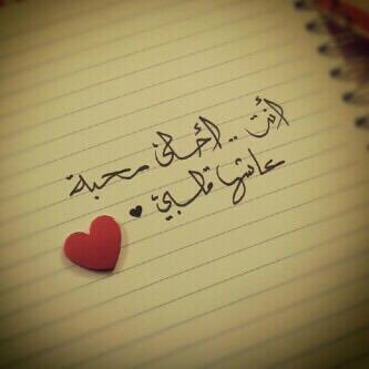 alkayeed007's profile picture. 