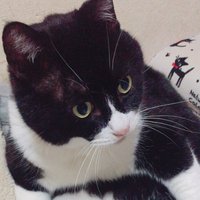 高森光明 (@ga4s3t) 's Twitter Profile Photo
