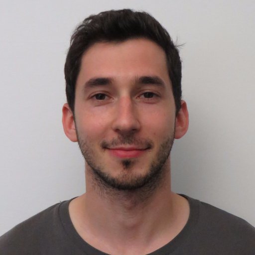 StefanAnca's profile picture. Gen AI Consultant / CTO