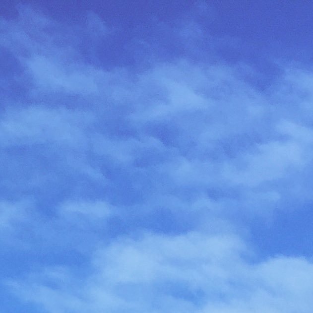 may2c's profile picture. 青空に行く見込み。