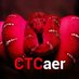 CTCaer (@CTCaer) Twitter profile photo