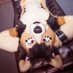 Avik (@avikfurry) Twitter profile photo Avik (@avikfurry) Twitter profile photo