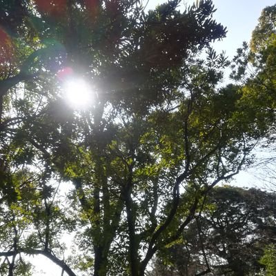 katsu321zo's profile picture. 素敵な日本に貢献したい！

を念頭に、社会や地域と共生します。