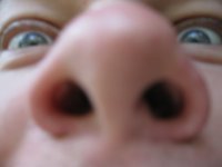 sigerello's profile picture.