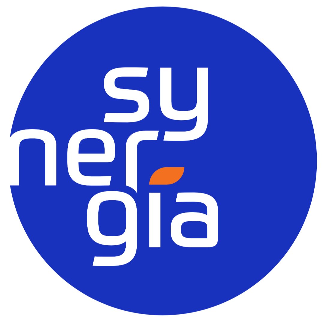 Synergía - Initiatives for Human Rights is a cross-regional organization focusing on movement building, security & protection, rights & advocacy