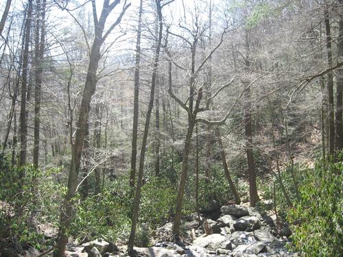 gosmoky's profile picture. Love the Smokies... host online radio show at http://t.co/xG98Ob2DOB and blog at http://t.co/s3bHfmhcyU