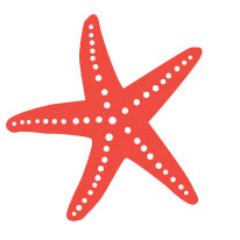 StarfishSigns's profile picture. Just like a starfish, we have 5 arms that are the root of our business: PEOPLE, PRODUCTS, CUSTOMERS, SUSTAINABILITY, & COMMUNITY.
mike@starfishsigns.com