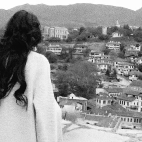 sutttozu's profile picture. 