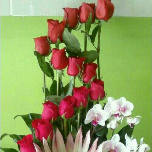 Tamana09's profile picture. Love is life. So live life to the fullest. Work n fun both are equally important😊