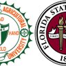 FAMUFSUCOE's profile picture. Where FAMU #RattlerEngineers and FSU #NoleEngineers are made. Tag us for a share to our followers