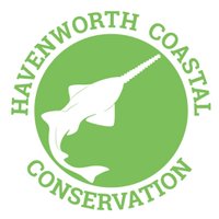 Havenworth Coastal Conservation (@coastalelasmos) 's Twitter Profile Photo Havenworth Coastal Conservation (@coastalelasmos) 's Twitter Profile Photo