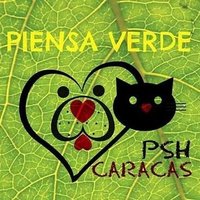 FundacionPSHCaracas(@pshccs) 's Twitter Profile Photo